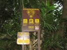 Maunawili Demonstration Trail Waimanalo side